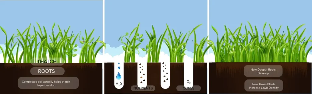 aeration-inforgraphic